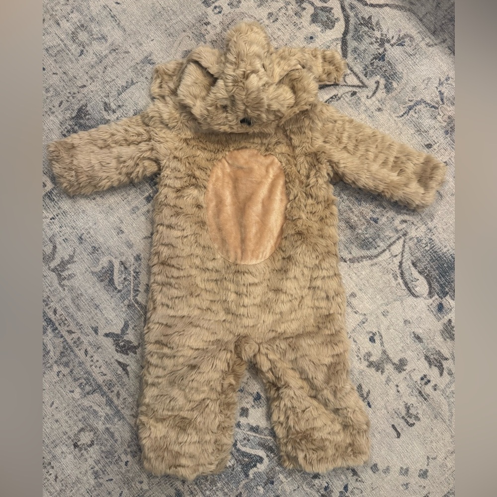 Pottery Barn Kids Dog Costume